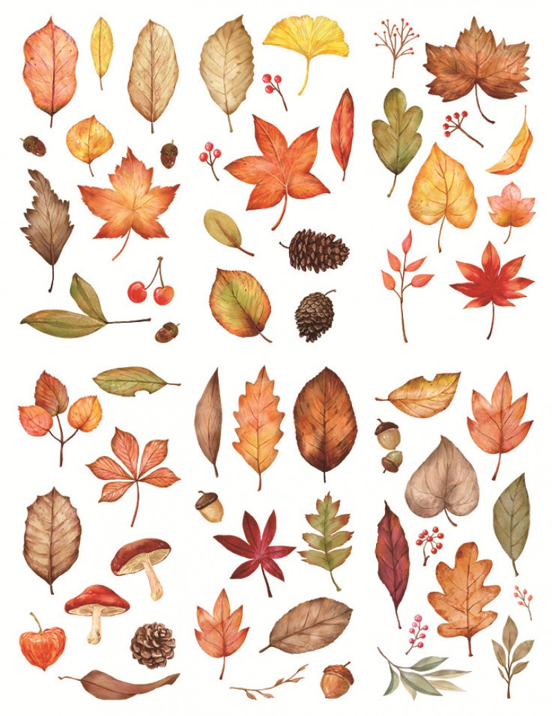 One Leaf Knows Autumn Sticker Sheet