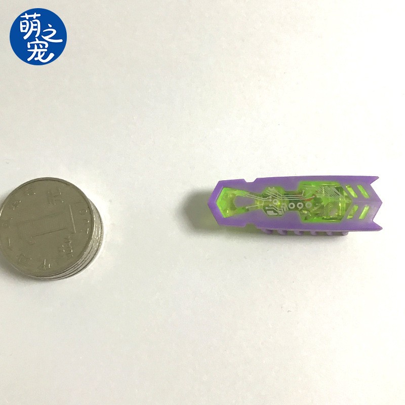 Purple Electric Scuttle Bug Cat Toy