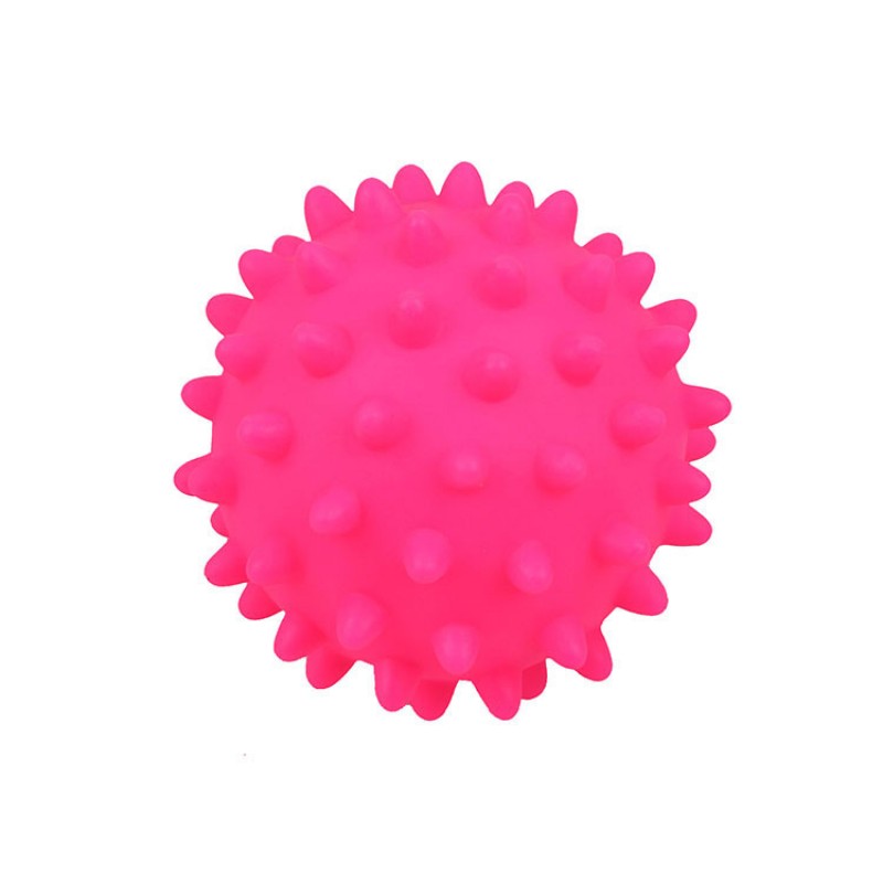 Rose Red Silicone Dog Toy