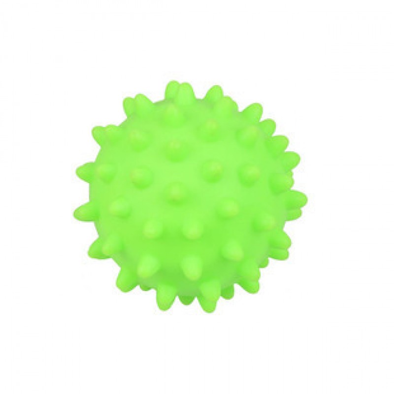 Green Silicone Dog Toy