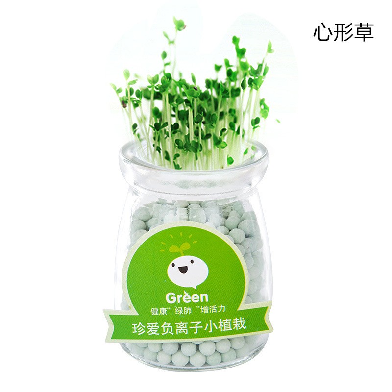 Heart Shaped Grass Hydroponic Micro Potted Plant