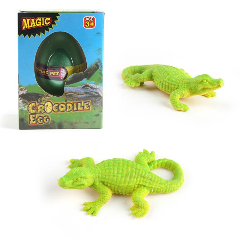 Crocodile Eg Growing Water Eg