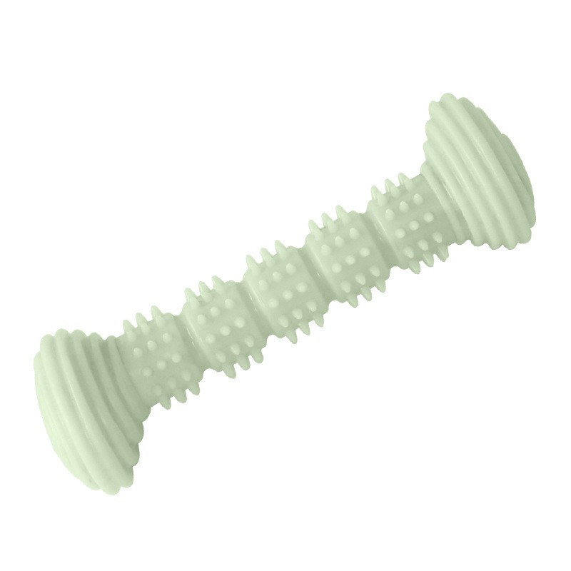 Green Dog Stick Chew Toy
