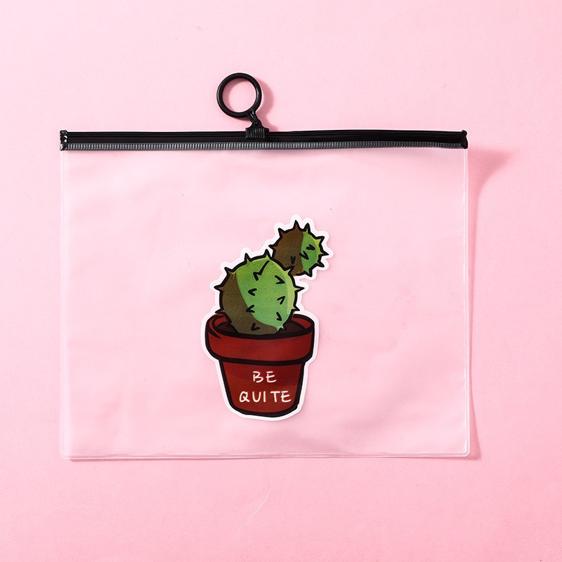 A Cactus Storage Bag