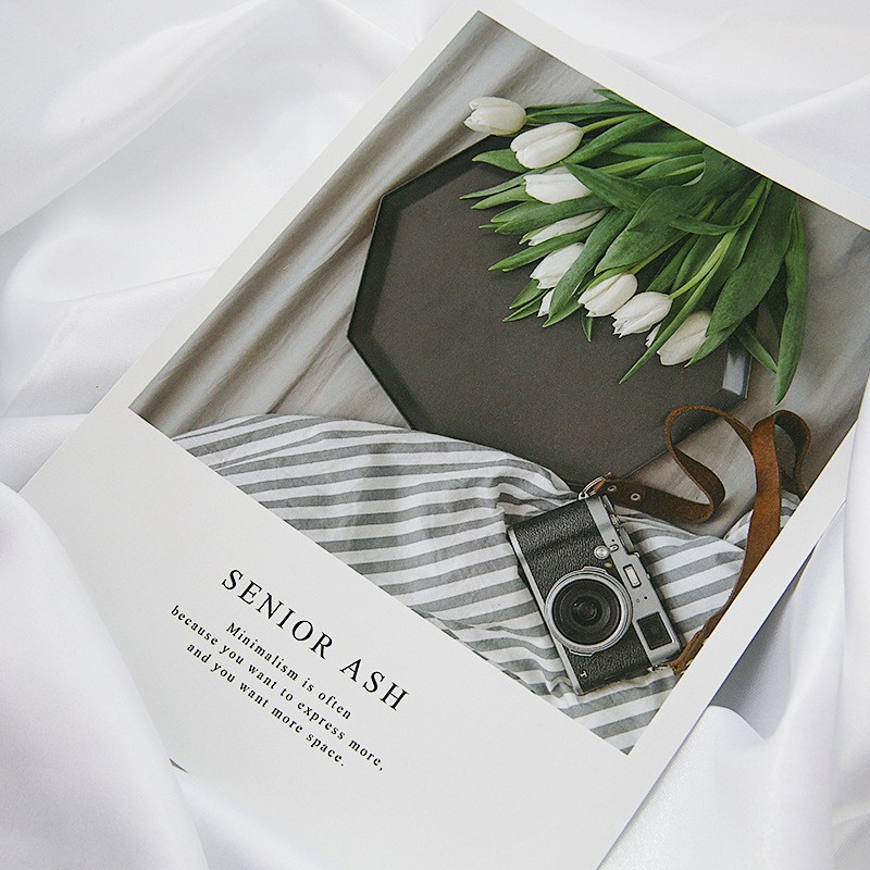 1 Tulip Photography Props