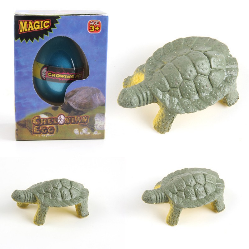 Turtle Eg Growing Water Eg