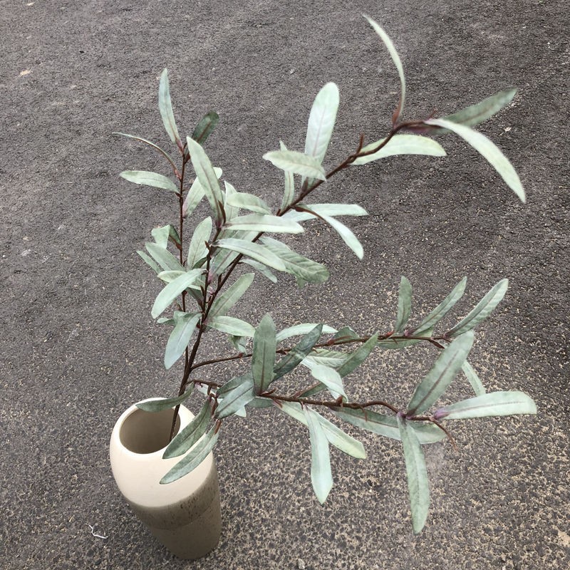 Gray-Green Olive Branch Artificial