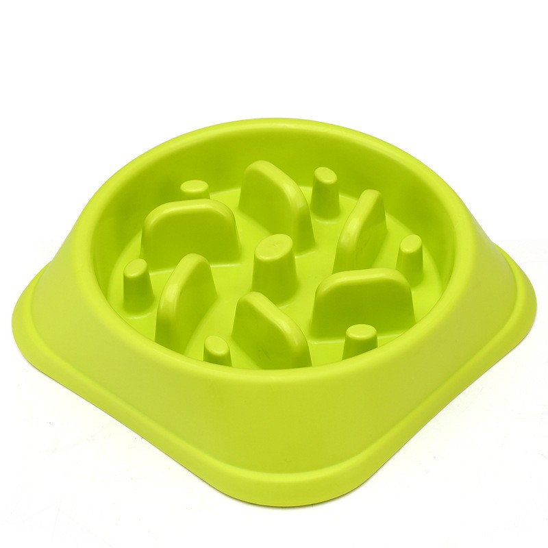Green Slow Food Pet Bowl