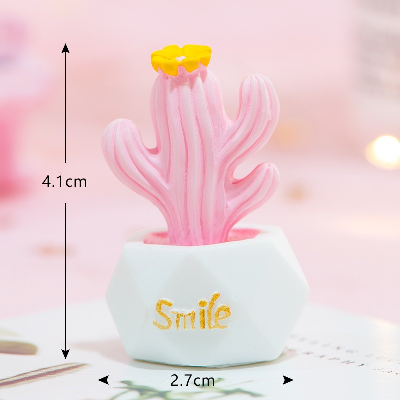 6 - Smile Pink Maiden Heart Cactus Micro Landscape Miniature Craft Supplies