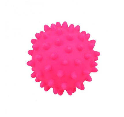 Rose Red Silicone Dog Toy