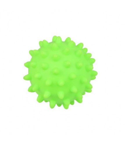 Green Silicone Dog Toy