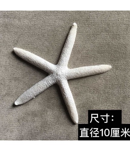 10cm Starfish Micro Landscape Diorama Diy Crafts