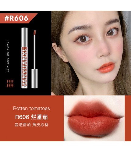 R606# Tomatoes HEYXI Velvet Lip Glaze