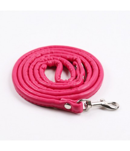 Pu Traction Rope Rose Reds Length X Widthwidth 10Cm Length 120Cm Pet Supplies Clearance