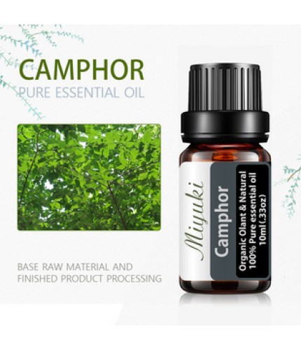 Camphor Tree Essential Oil Essential Oil