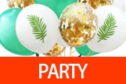 99p Store party, partyware 99p shop